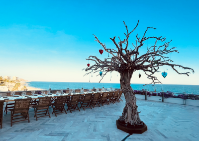 Convención Ronival Real State, Grand Velas Boutique Los Cabos